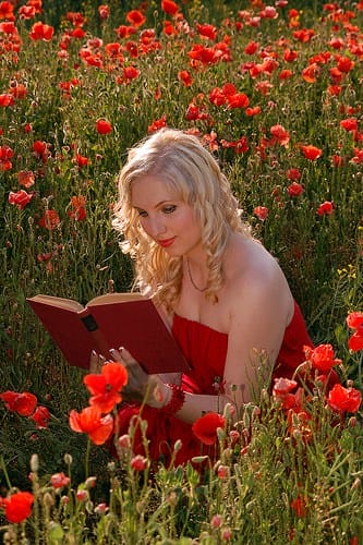 Photo Credit: v.maxi via Compfight cc