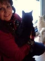 Trap A Feral Cat Before He Captures Your Heart 1 Risa-Ruse_314326