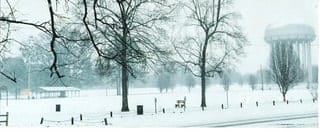 125496510_eab28d8e9c_n