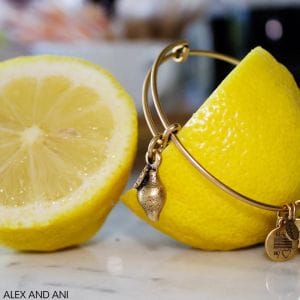 Alex’s Lemonade3