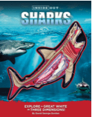 2017 Holiday Gift Guide—Books 85 Screen Shot 2017 12 03 at 8.15.59 AM