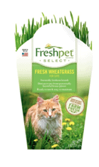 Screen Shot 2017 12 03 at 9.33.12 AM