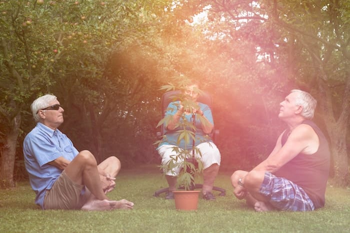 Seniors relaxing with Cannabis plant outdoors in the garden.