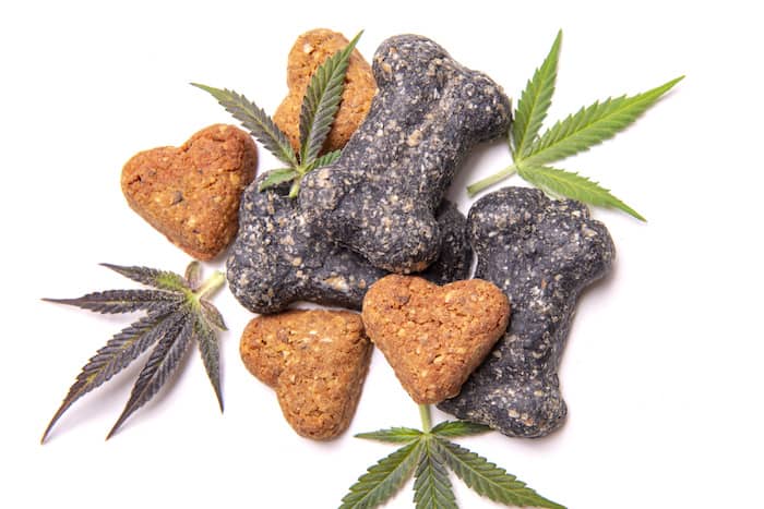 AdobeStock 266406993