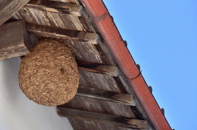 The Benefits of Maintaining a Clean Home