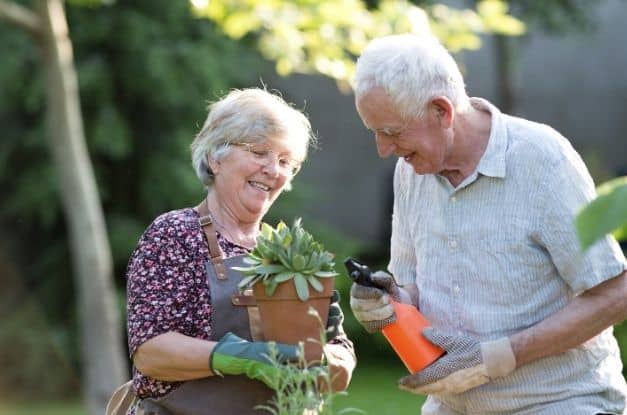 Tips for Going Green During Retirement