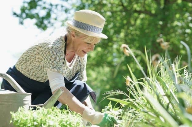 The Benefits of Gardening at Home