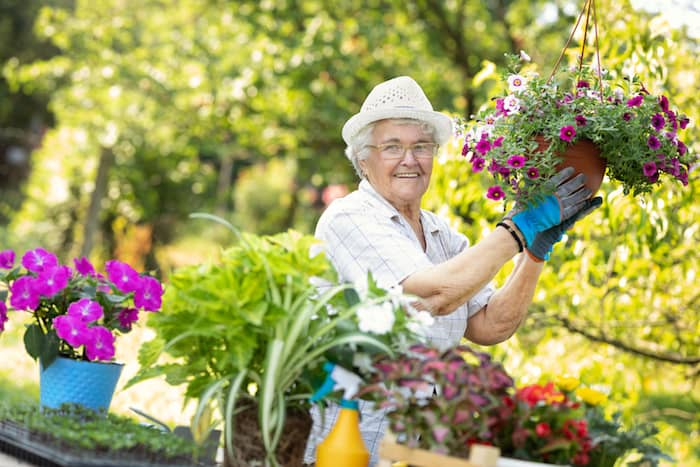 4 Fun Hobbies For Seniors To Stay Physically And Mentally Healthy 1 AdobeStock 321522946