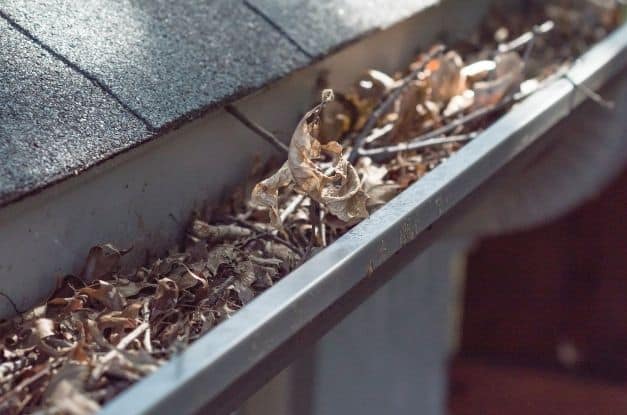 Tips To Prepare Your Home for Autumn Weather