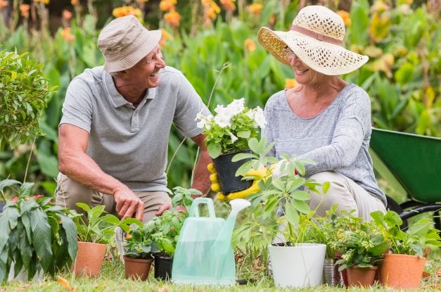 Senior Activities To Keep the Mind and Body Healthy