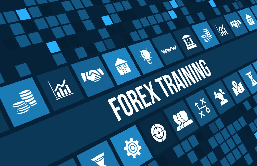 Are While Label Forex Services Worth it?
