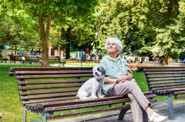 5 Things To Do This Summer With Your Dog