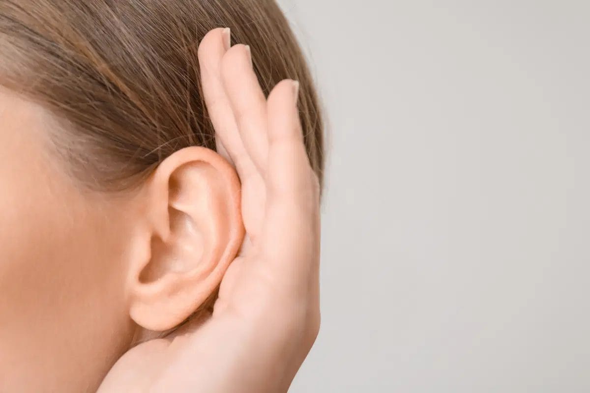 cortexi hearing support formula