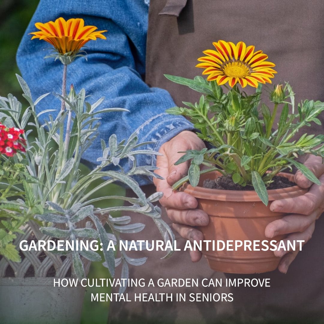 An older person happily gardening, representing the content of the article about hobbies and depression.