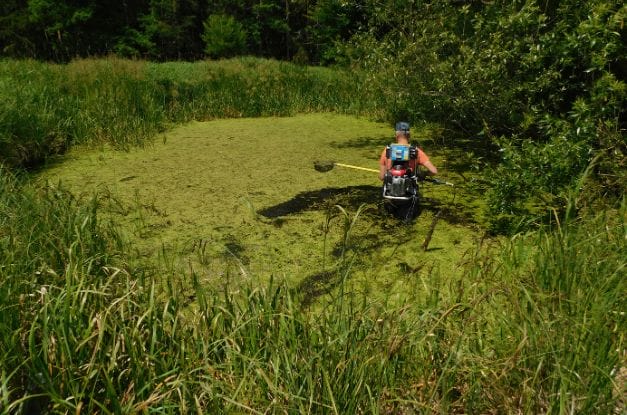 What Is Electrofishing and Where Can You Do It?