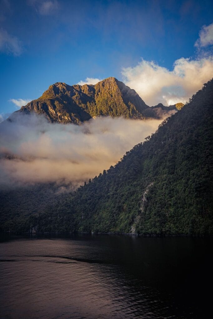 f873f214 d7fe 4873 9399 573cf0eb9d3d