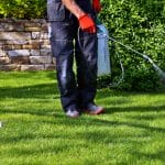 A pest control professional walking in the backyard, spraying the grass and landscaping with pesticides.