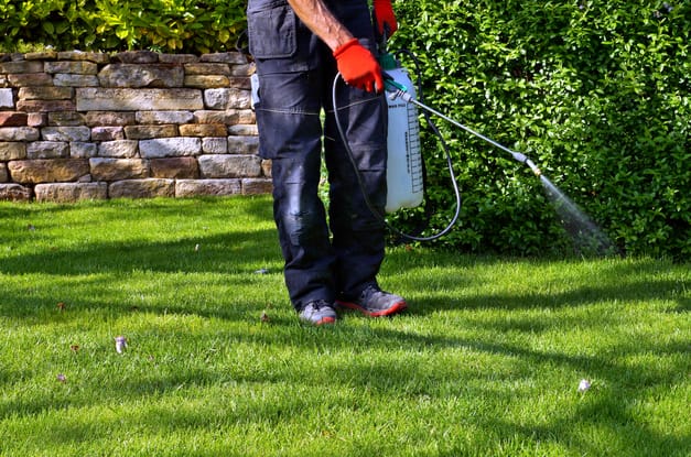 A pest control professional walking in the backyard, spraying the grass and landscaping with pesticides.